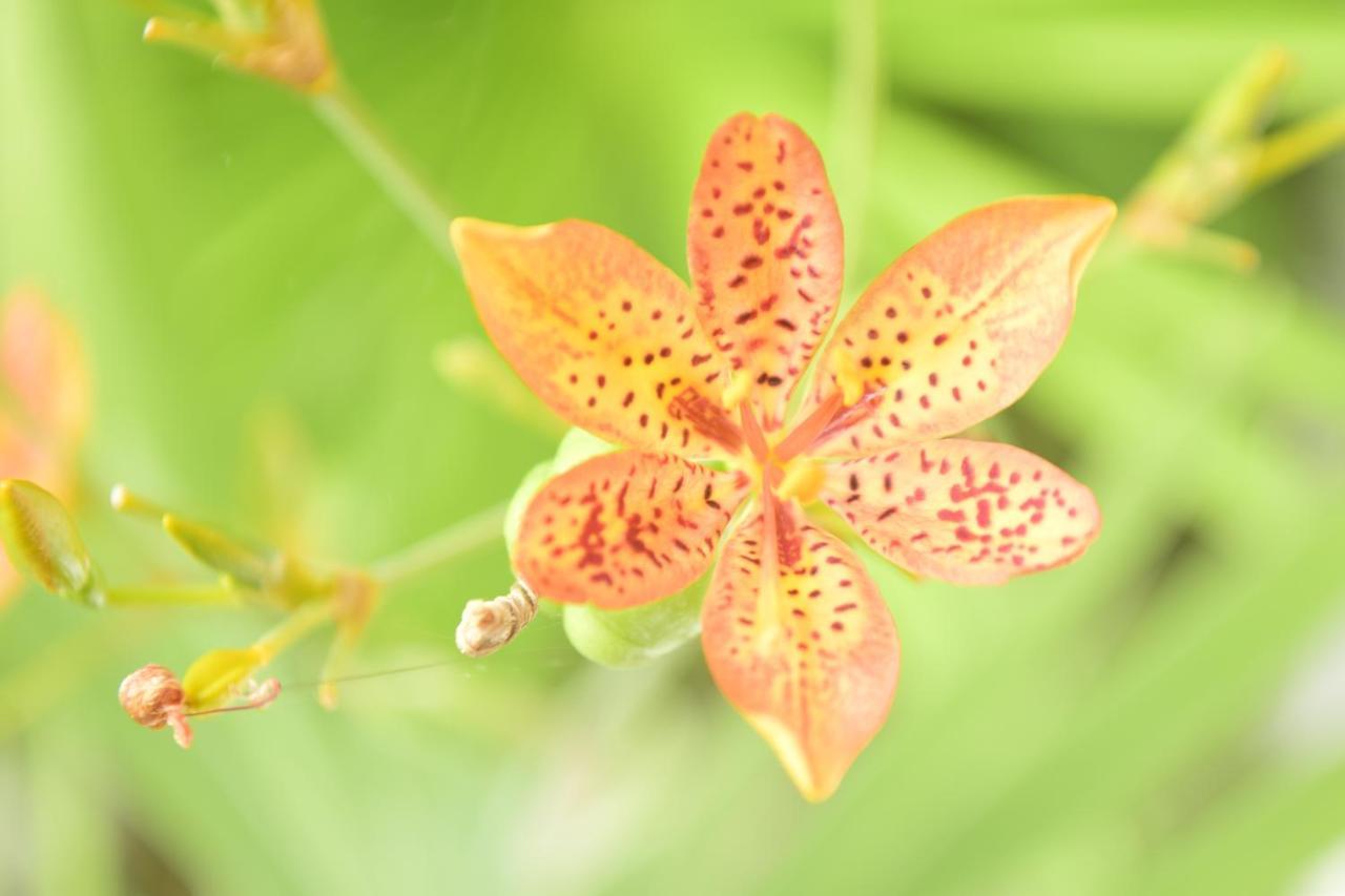 Pousada Jardim Das Bromelias Порту-Сегуру Экстерьер фото