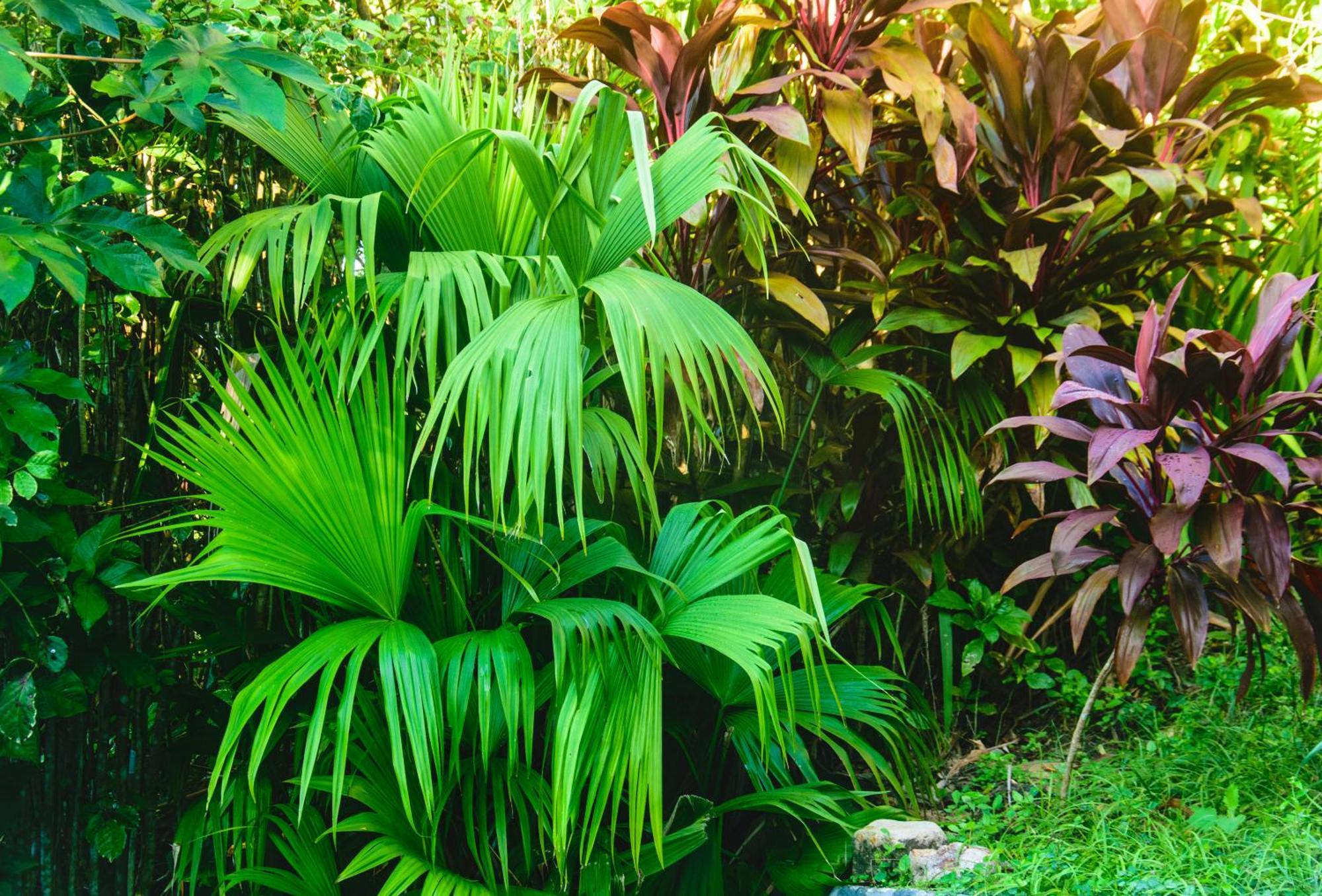 Pousada Jardim Das Bromelias Порту-Сегуру Экстерьер фото